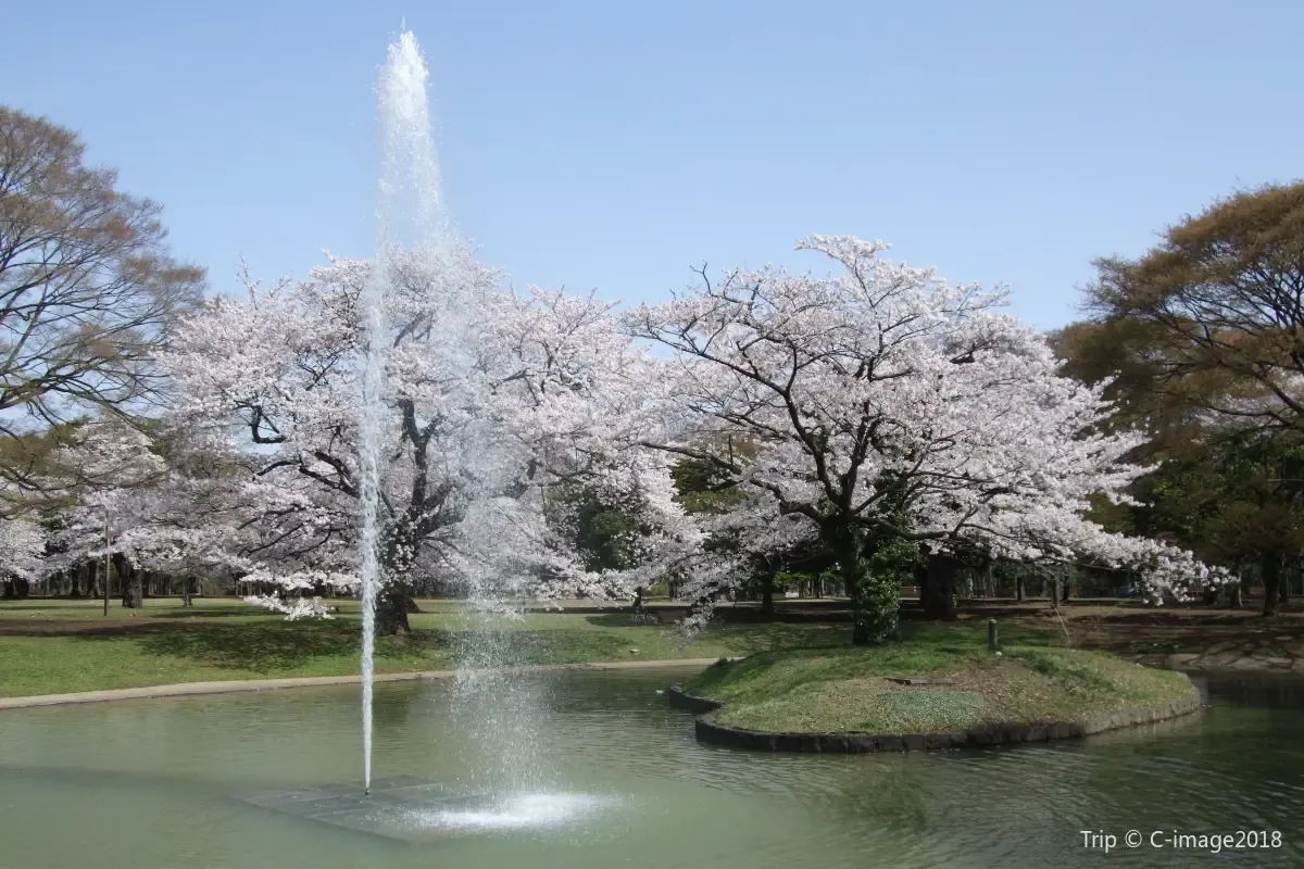 Yoyogi Park