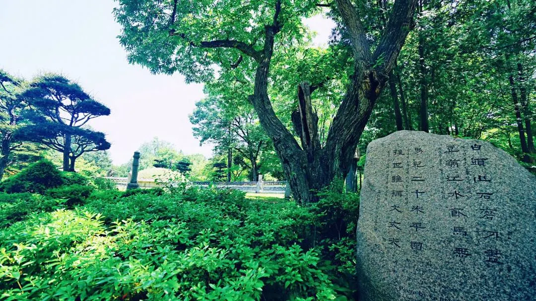 Four Seasons Of Nami Island Summer