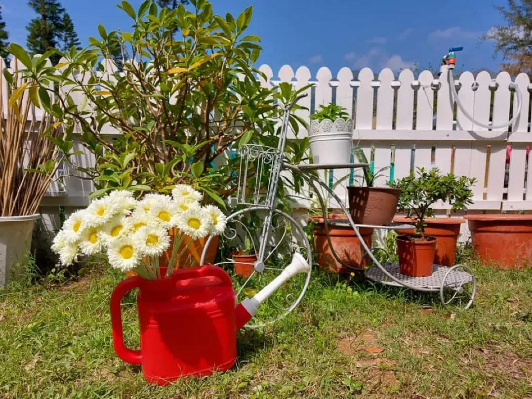 花园 香港銀鑛灣渡假酒店優惠
