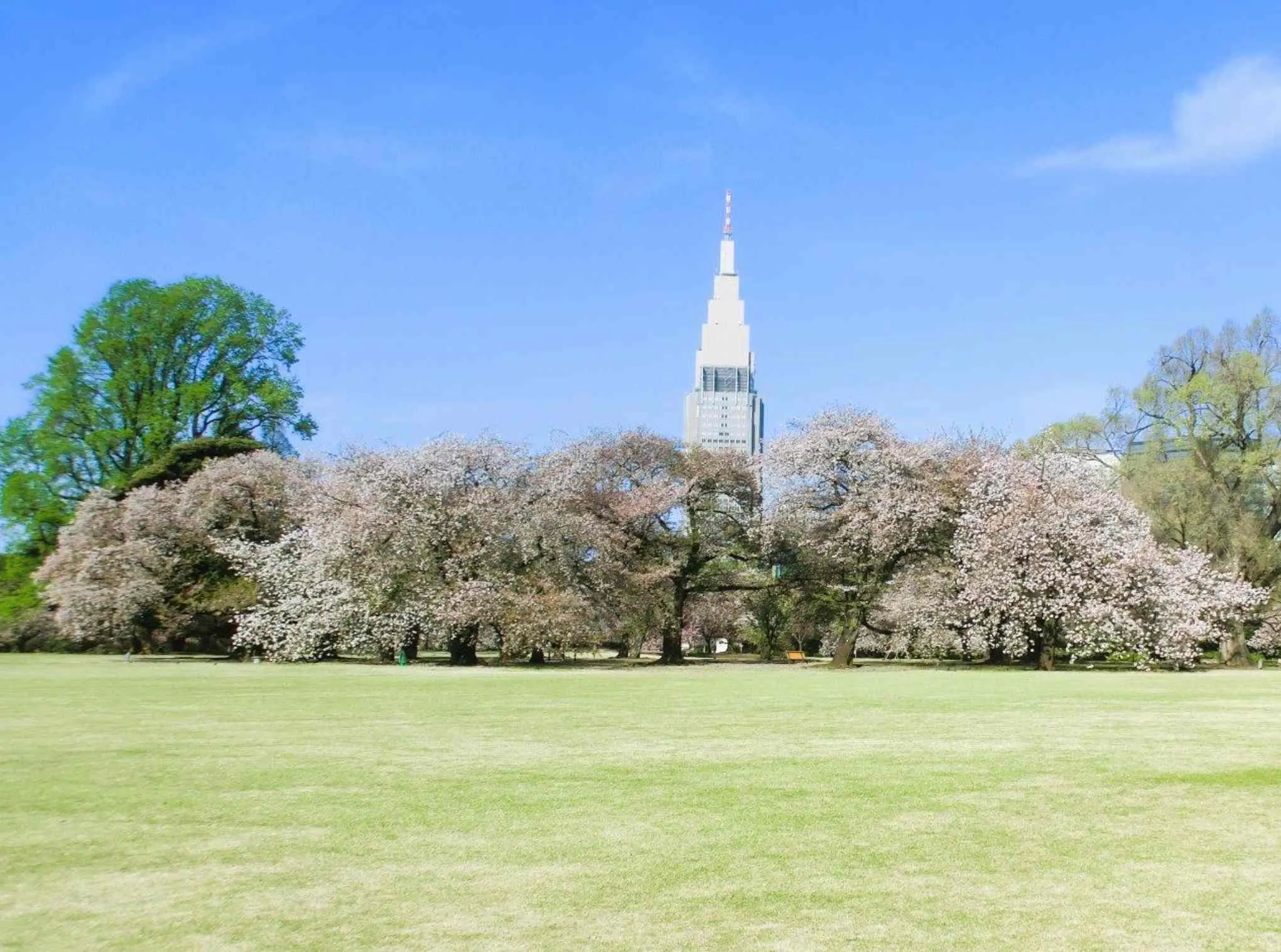 歌舞伎町 新宿御苑