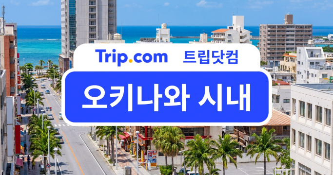 오키나와 시내 구역별 특징은? 맛집, 쇼핑, 야경 알아보기 | 트립닷컴