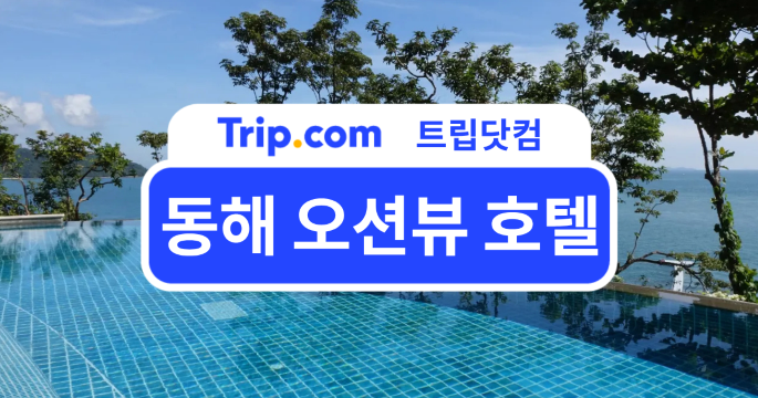 동해 오션뷰 호텔 여행, 바다 품은 울산 포항 경주 숙소 추천 | 트립닷컴