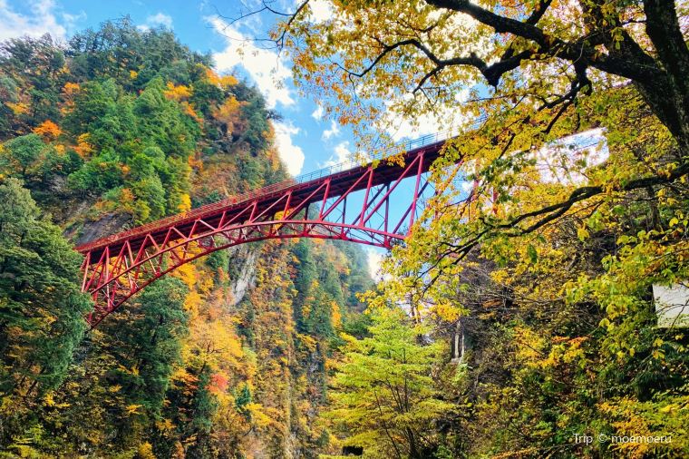 【黒部峡谷】紅葉の見頃は10月下旬~11月中旬