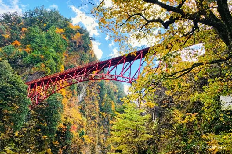 【黒部峡谷】紅葉の見頃は10月下旬~11月中旬
