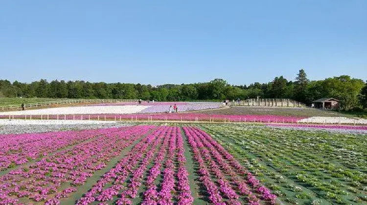 女子ひとり旅の千葉旅行で注意するべき3つのこと