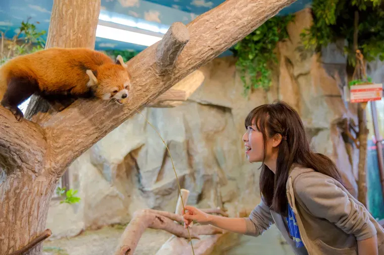 お土産選びで那須旅行はもっと楽しくなる!