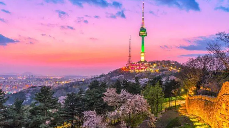 Best Things to Do in Seoul