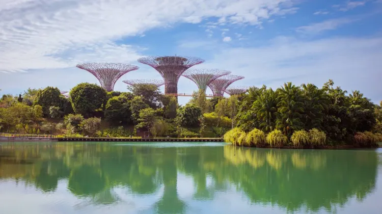 Things to do at Gardens by the Bay