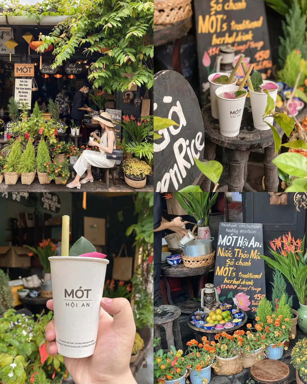 bài viết du lịch trip.com - trà mót hội an