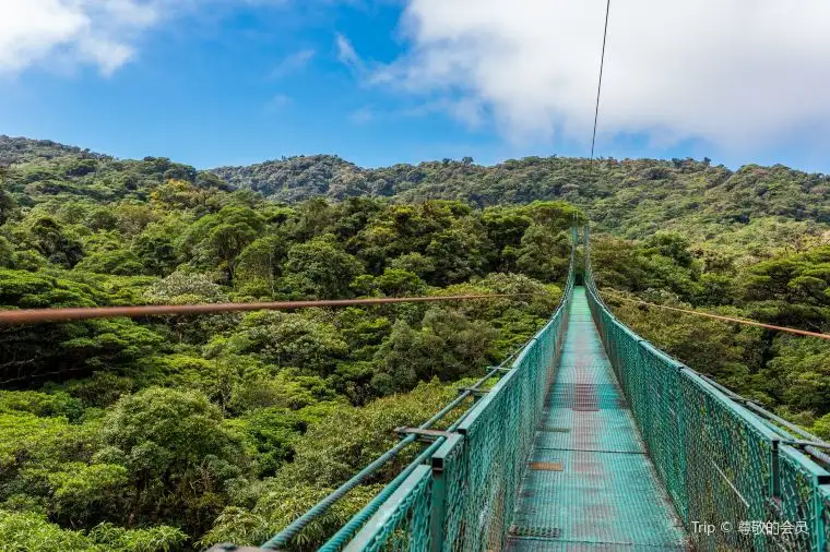 Monteverde Cloud Forest Biological Preserve