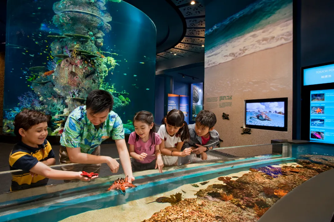 พิพิธภัณฑ์สัตว์น้ำ ซี อควาเรียม S.E.A. Aquarium
