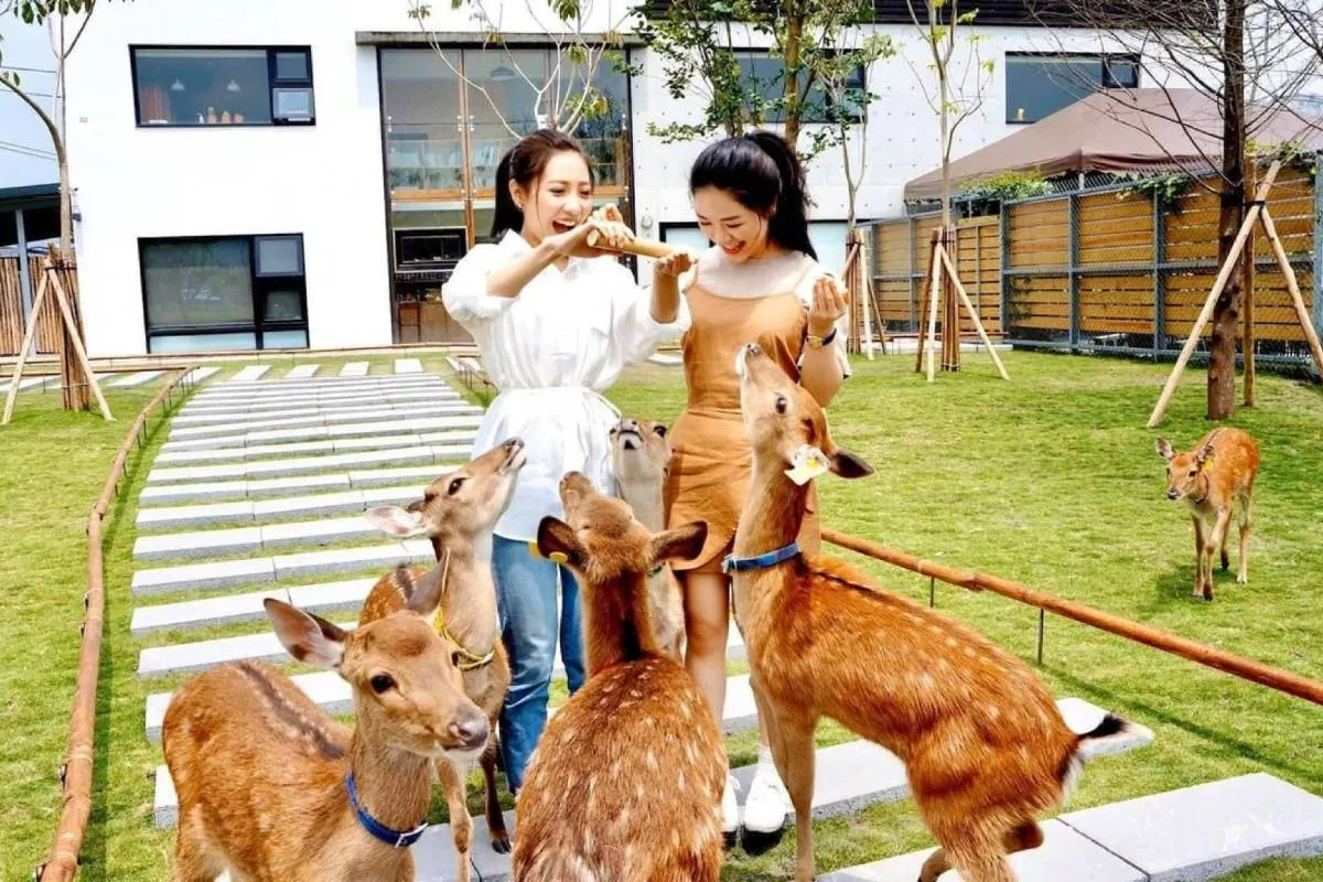 ที่เที่ยวไต้หวัน