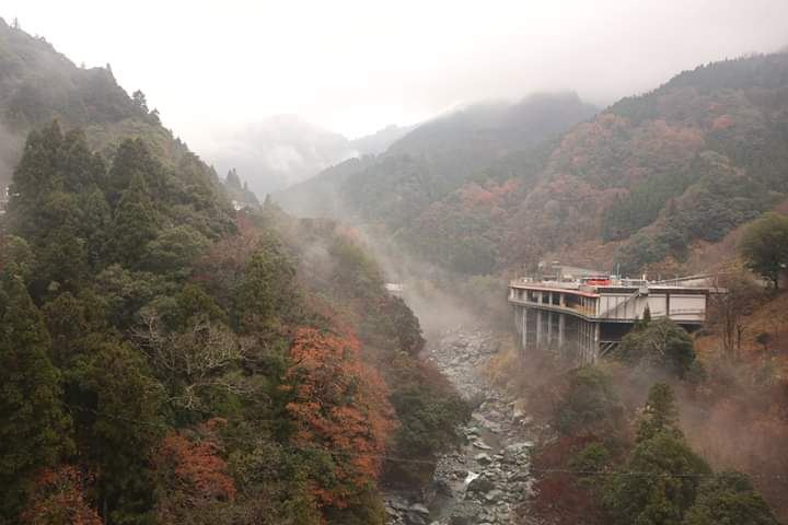 【大歩危・小歩危】紅葉の見頃は11月中旬~11月下
