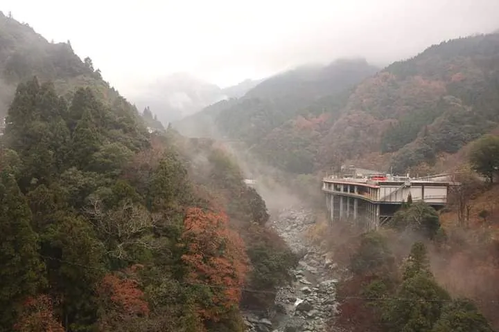 【大歩危・小歩危】紅葉の見頃は11月中旬~11月下