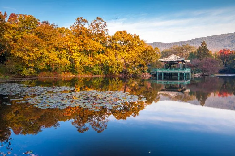 南京氣溫 - 鐘山風景名勝區