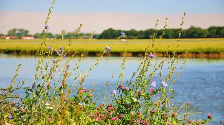 オックスフォードの年間降水量について
