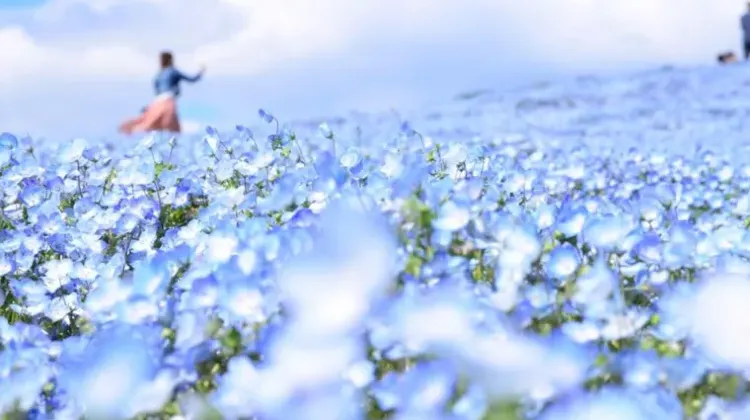 もらってうれしい茨城土産の選び方