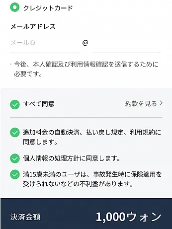 手順4：必要事項を入力する