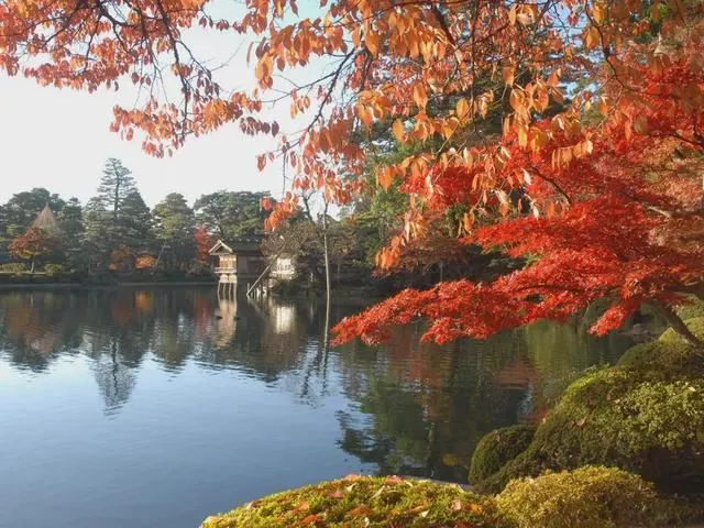 【兼六園】紅葉の見頃は11月上旬~11月下旬