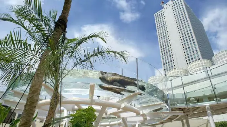 サンシャイン水族館のチケットを予約するならTrip.comで!