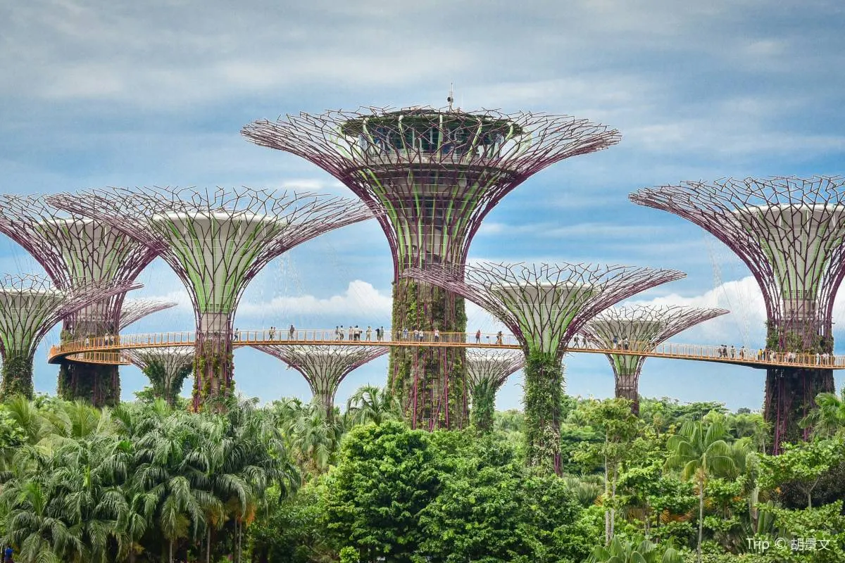 Things to do at Gardens by the Bay