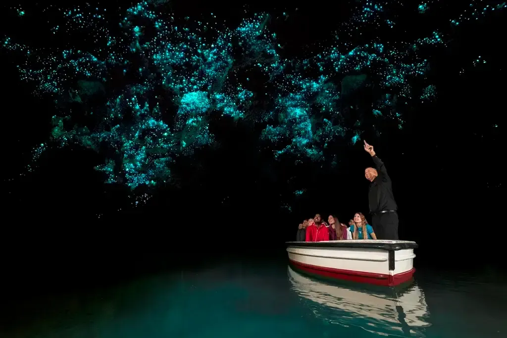 Waitomo Caves in New Zealand