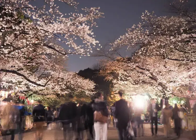 東京好去處 #15 上野公園