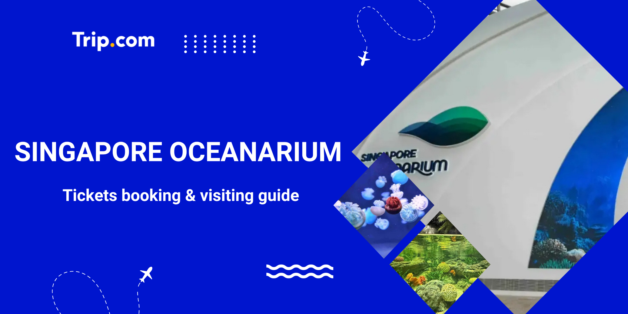 Singapore Oceanarium Tickets & Travel Guide | Trip.com