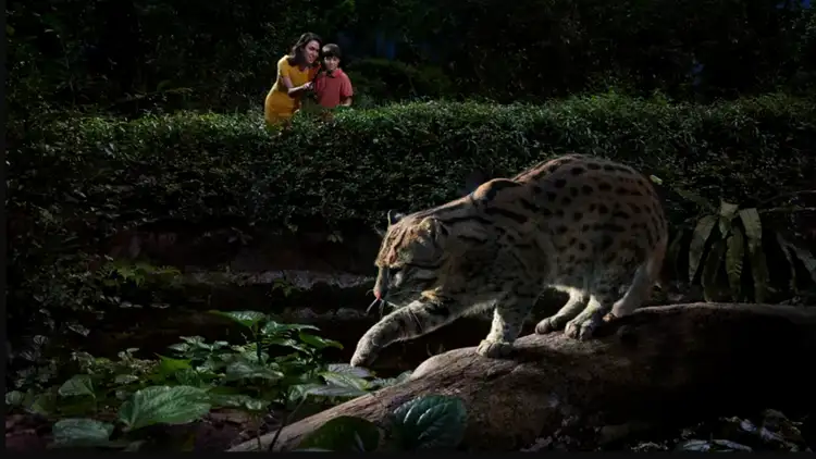 Witness a different side of animals at night in the Night Safari!