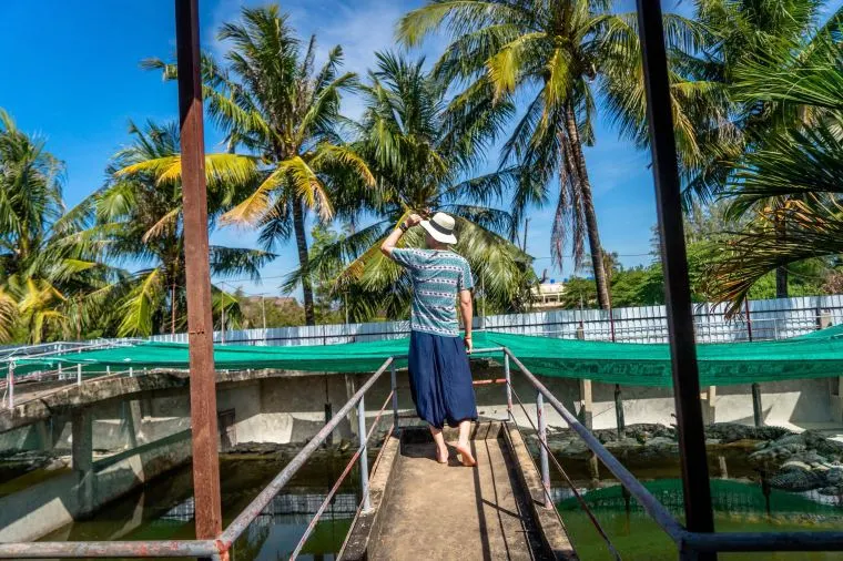 カンボジア・バタンバンの7月の気温や最適な服装