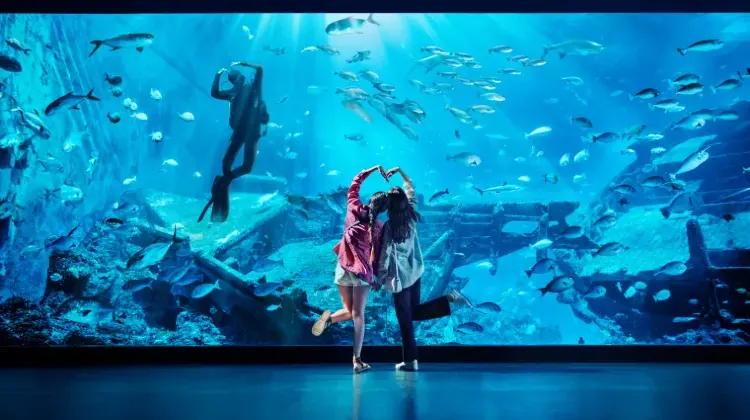 天候が悪くてもシンガポールは楽しい！