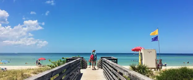 Honeymoon Island State Park Dog Beach