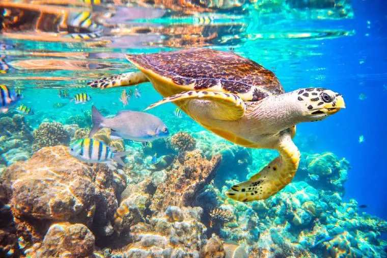 モルディブの9月の気温・天候について解説