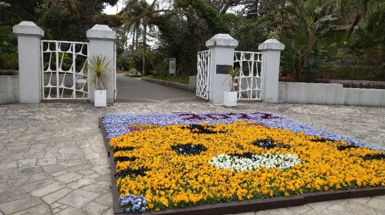 宮崎旅行はひとり旅こそおもしろい！