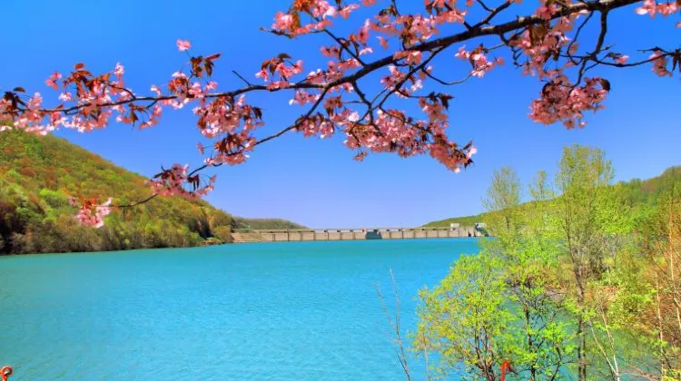 ひとり旅で知っておきたい小樽のルールやマナー