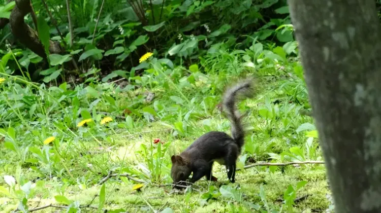 「センスがいいね」と褒められる帯広土産の選び方