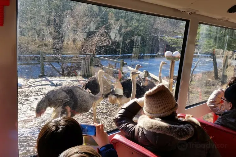 Popular KTX train map route: Daejeon