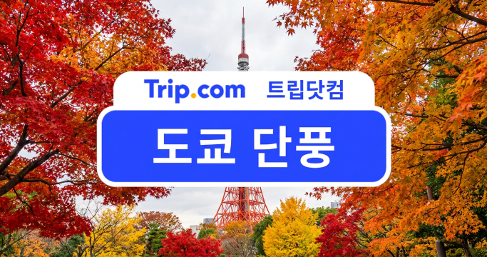 도쿄 단풍 여행(AI로 생성된 이미지입니다.)