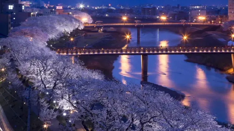 福井旅行で心温まるお土産を見つけよう！