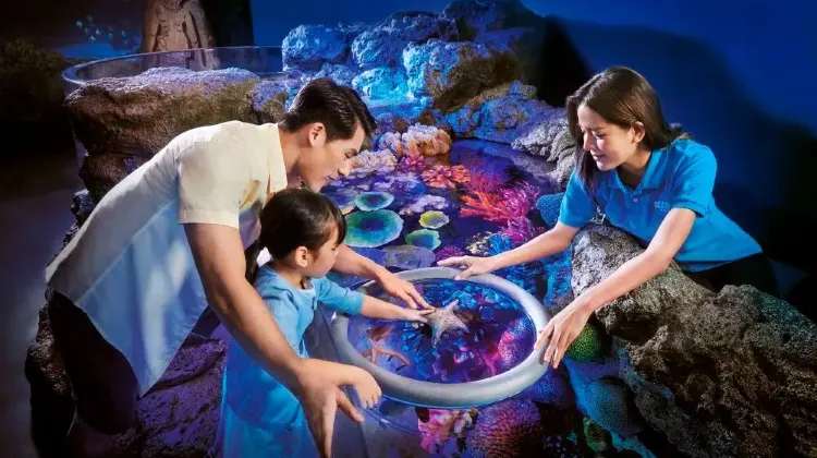 シーライフバンコクオーシャンワールドに行く前に知っておきたい3つのこと