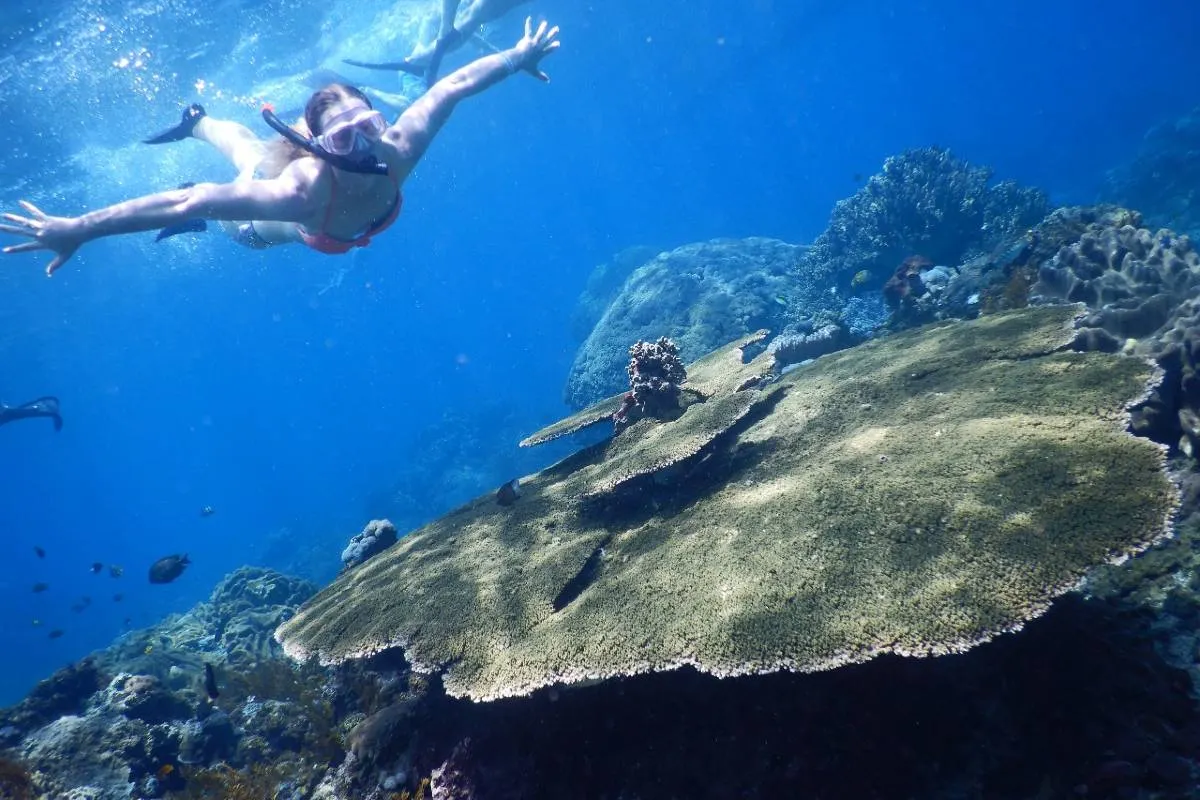 Tempat Wisata di Indonesia-Nusa Penida