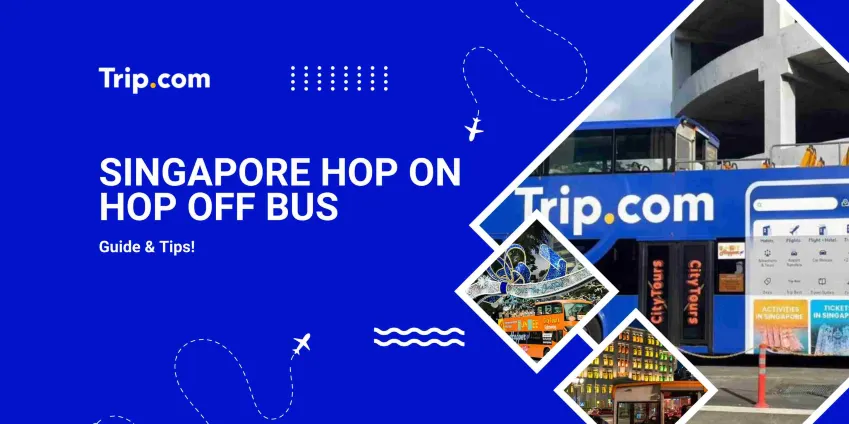 Singapore Hop On Hop Off Bus Tickets: Visitor Guide & Prices | Trip.com