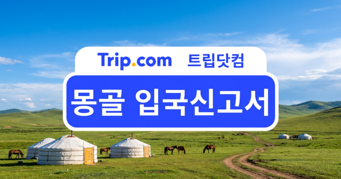 몽골 입국신고서 A to Z: 입국심사 한 번에 통과하기 | 트립닷컴