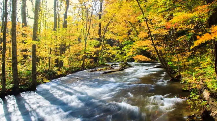 ひとり旅で青森に行ったらやりたい5つのこと