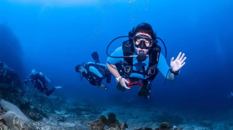 泰國必體驗 |  泰國島嶼遊 | 芭提雅暢潛之旅