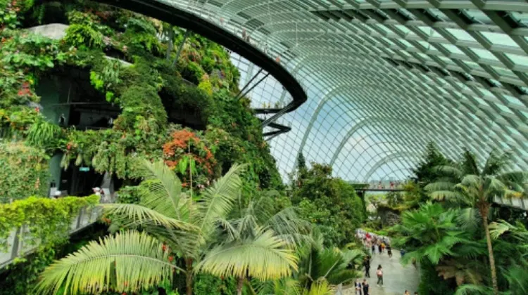 Gardens by the Bay | Things to do in Singapore