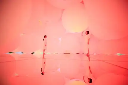 豐洲teamLab