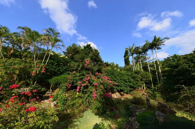 与論島旅行の交通費用
