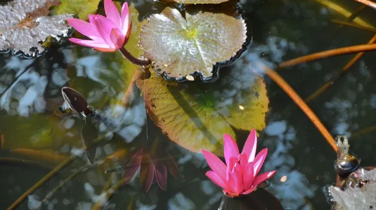 天気が雨の日にマニラで楽しみたい3つのこと