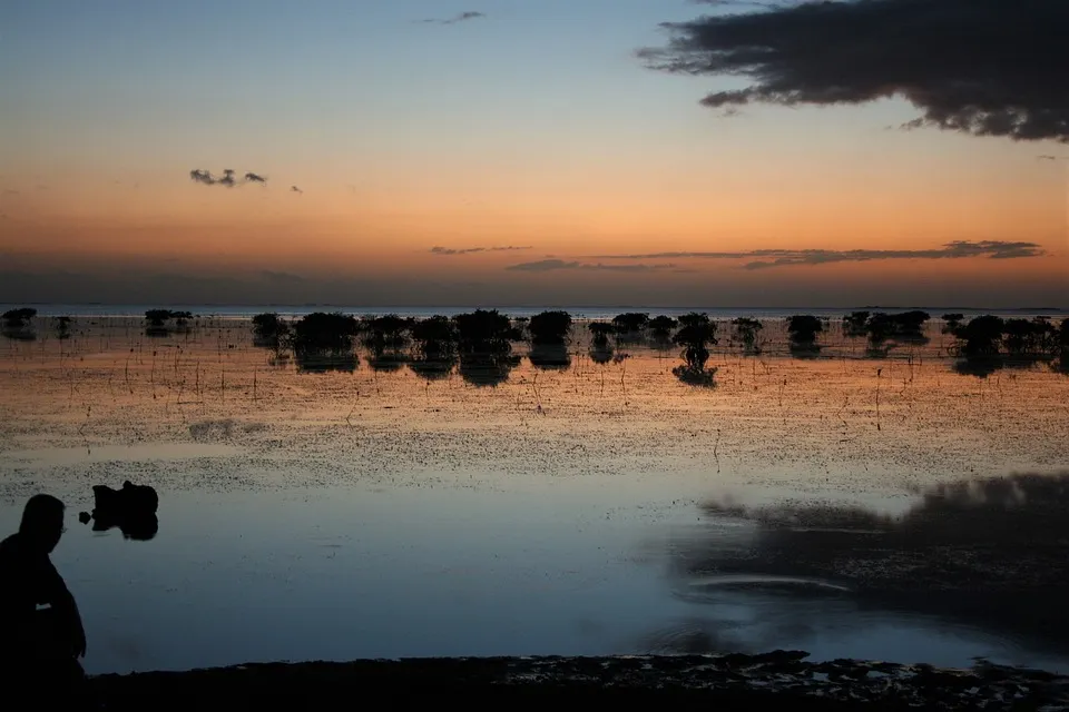 ニューカレドニア旅行についてよくある質問